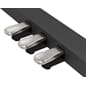 f107_pedals_gal.jpg
