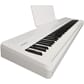 FP-40_WH_HERO_w_MUSIC_REST.jpg