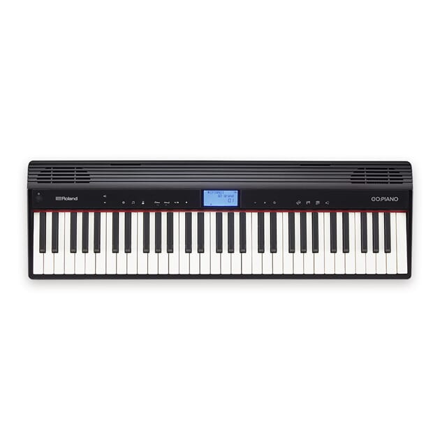 gallery_gopiano_main.jpg