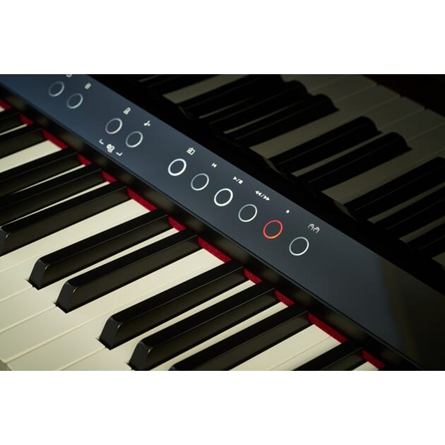 LX-9_PE_closeup keys.jpeg