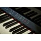 LX-9_PE_closeup keys.jpeg