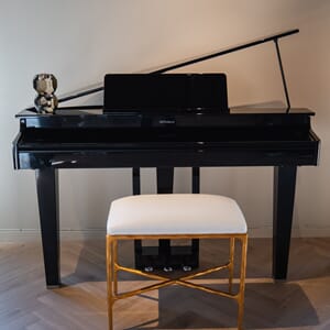 Roland GP3- PE Gold Cream