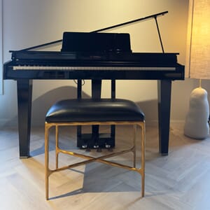 Roland GP3-PE Gold Ebony