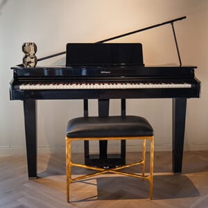 Roland GP3-PE Gold Ebony
