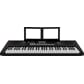 e-x10_front_angle_music_rest_gal.jpg