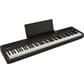 FP-40_BK_DR1_BK_w_MUSIC_REST.jpg