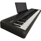 FP-40_BK_HERO_w_MUSIC_REST.jpg