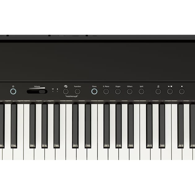 FP-40_BK_PANEL.jpg