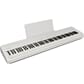 FP-40_WH_DR1_w_MUSIC_REST.jpg
