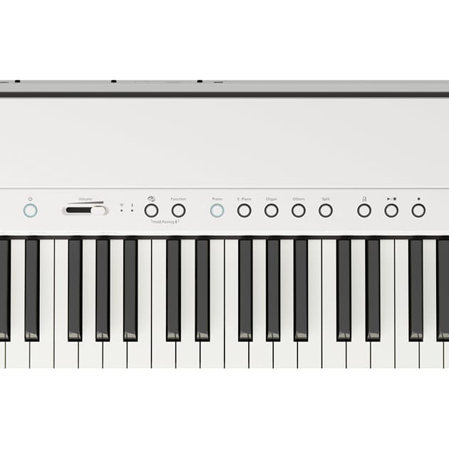 FP-40_WH_PANEL_1.jpg