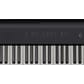 fp-e50_panel_right.jpg