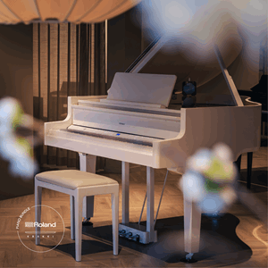 Roland GP9M Krakki Pakke