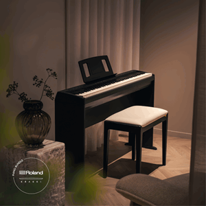 Roland FP-10 Sort Interiør Krakki Pianopakke