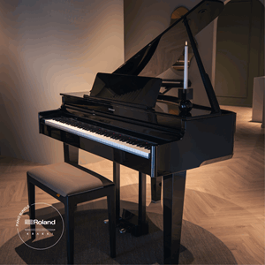 Roland GP6 Sort Pianolakk Interiør Krakki Pianopakke